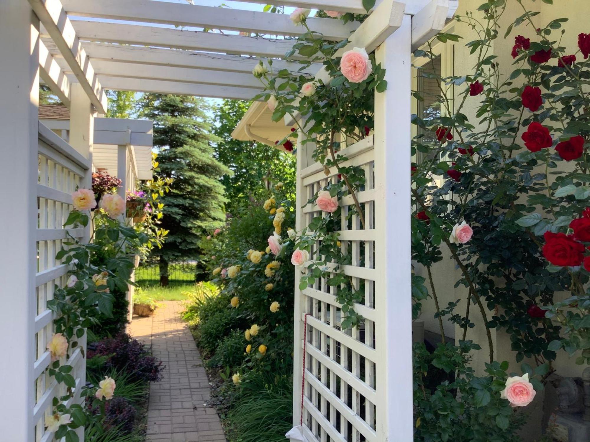 Via Veneto - Old Town Bed & Breakfast Niagara-on-the-Lake Exterior foto