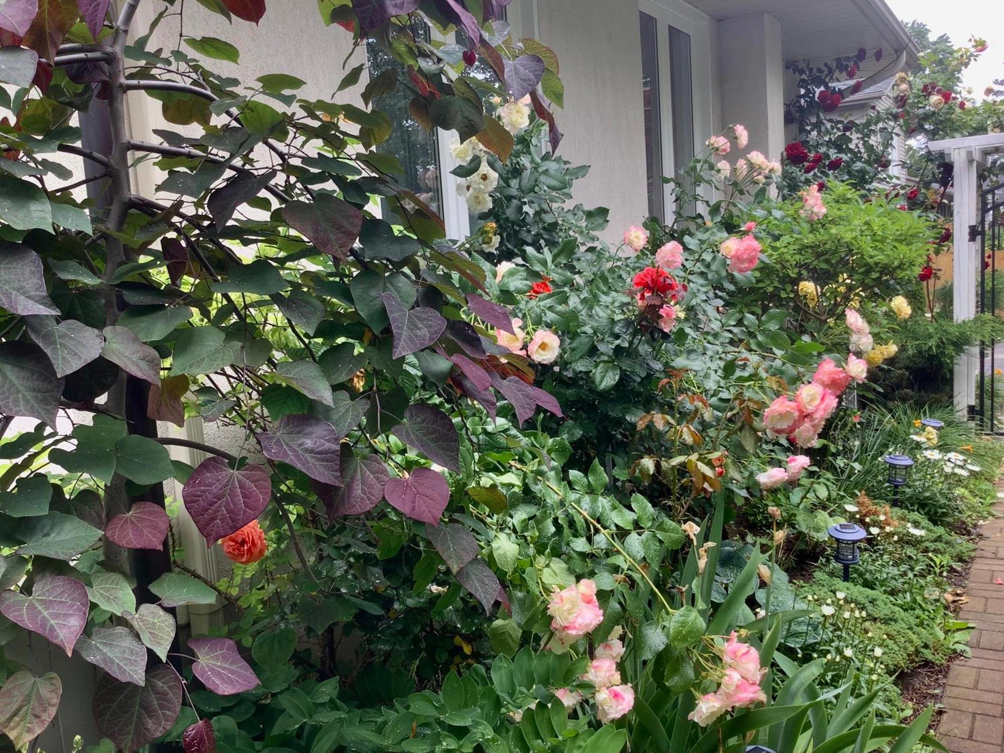 Via Veneto - Old Town Bed & Breakfast Niagara-on-the-Lake Exterior foto