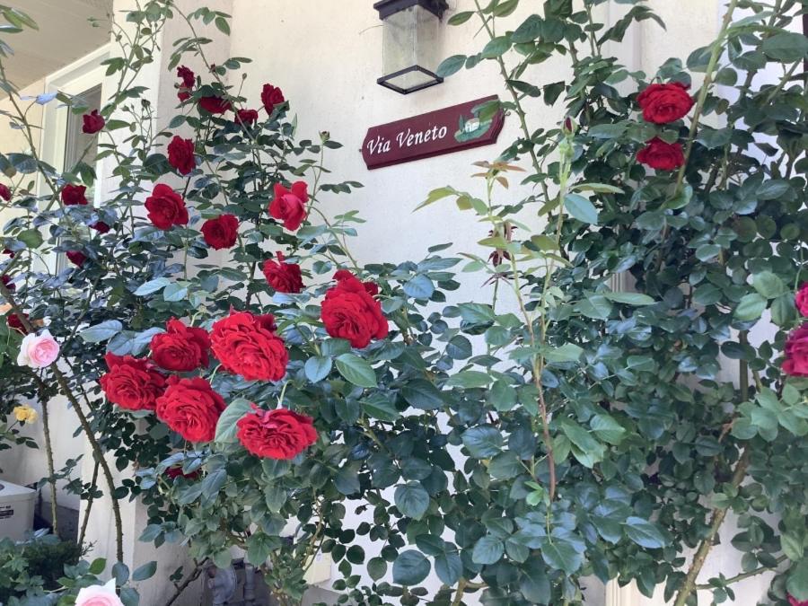 Via Veneto - Old Town Bed & Breakfast Niagara-on-the-Lake Exterior foto